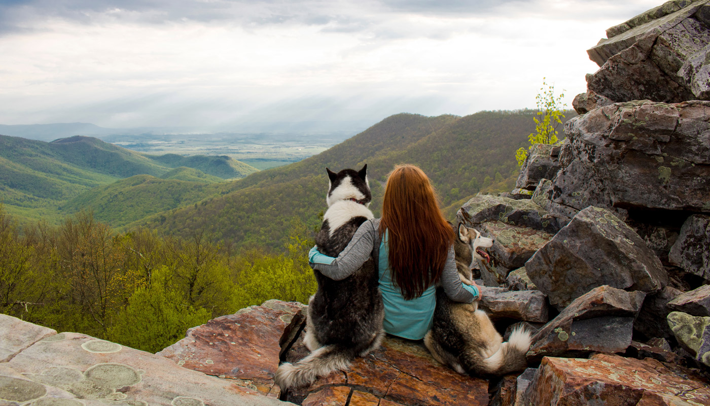 Excursionista y dos perros contemplando el valle desde la cima de la montaña